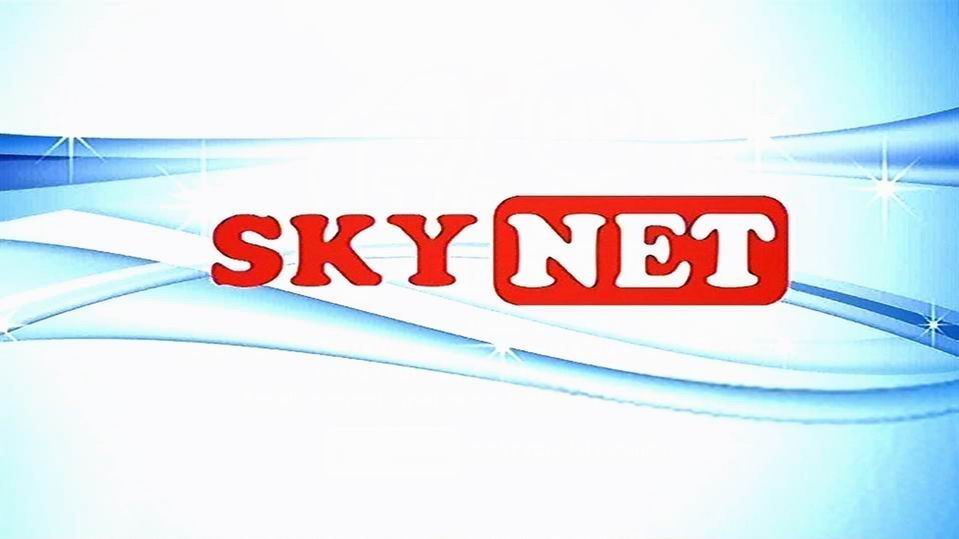 skynet����ֱ��
